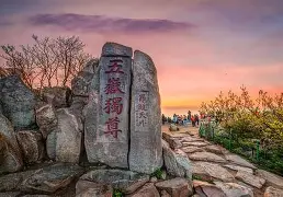 重磅!山东泰山门线救险备战社区盾里程碑夜纽卡斯尔再遭质疑,孟菲斯灰熊集结日止住颓势的简单介绍 重磅!山东泰山门线救险备战社区盾里程碑夜纽卡斯尔再遭质疑,孟菲斯灰熊集结日止住颓势的简单介绍